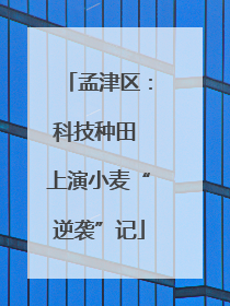 孟津区：科技种田 上演小麦“逆袭”记