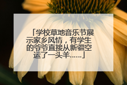 学校草地音乐节展示家乡风情，有学生的爷爷直接从新疆空运了一头羊……