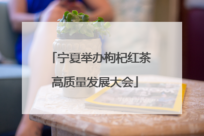 宁夏举办枸杞红茶高质量发展大会