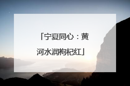 宁夏同心：黄河水润枸杞红