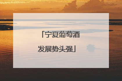 宁夏葡萄酒发展势头强