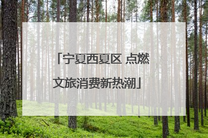 宁夏西夏区 点燃文旅消费新热潮