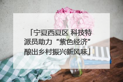 宁夏西夏区 科技特派员助力“紫色经济”酿出乡村振兴新风味
