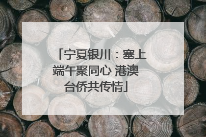 宁夏银川：塞上端午聚同心 港澳台侨共传情