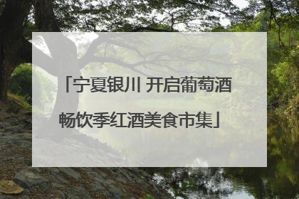 宁夏银川 开启葡萄酒畅饮季红酒美食市集