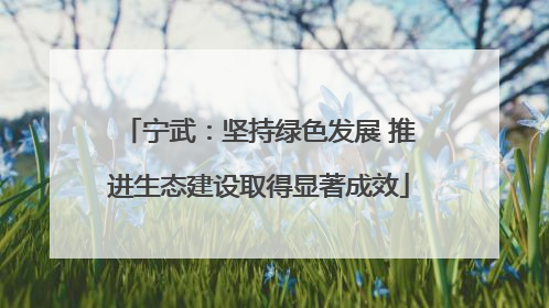 宁武：坚持绿色发展 推进生态建设取得显著成效
