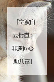 宁波白云街道：非遗匠心助共富