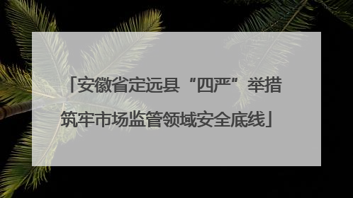 安徽省定远县“四严”举措筑牢市场监管领域安全底线