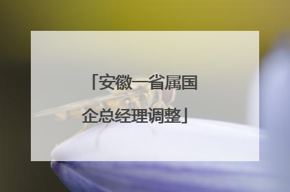 安徽一省属国企总经理调整