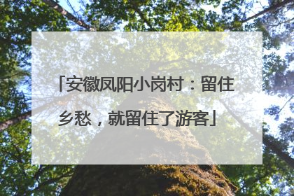 安徽凤阳小岗村：留住乡愁，就留住了游客