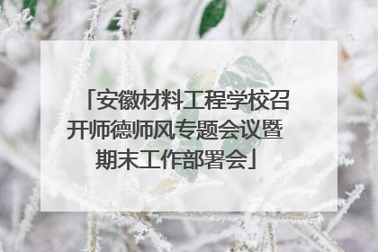 安徽材料工程学校召开师德师风专题会议暨期末工作部署会