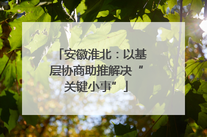 安徽淮北：以基层协商助推解决“关键小事”