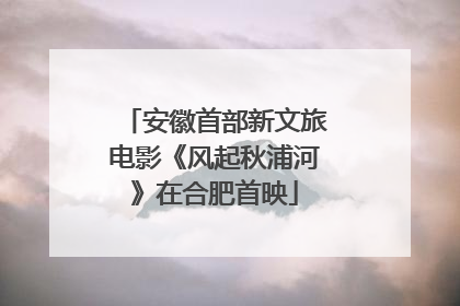 安徽首部新文旅电影《风起秋浦河》在合肥首映