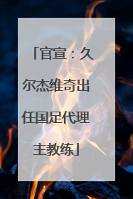 官宣：久尔杰维奇出任国足代理主教练