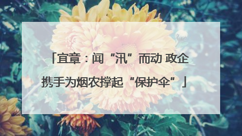 宜章：闻“汛”而动 政企携手为烟农撑起“保护伞”