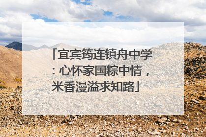 宜宾筠连镇舟中学：心怀家国粽中情，米香漫溢求知路