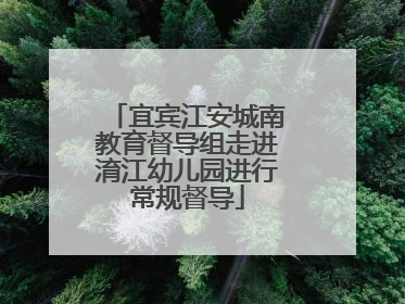 宜宾江安城南教育督导组走进淯江幼儿园进行常规督导