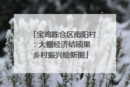 宝鸡陈仓区南阳村：大棚经济结硕果 乡村振兴绘新图