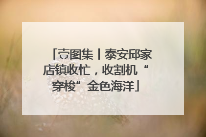 壹图集丨泰安邱家店镇收忙，收割机“穿梭”金色海洋