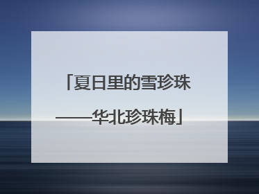 夏日里的雪珍珠——华北珍珠梅