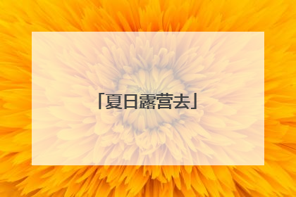 夏日露营去