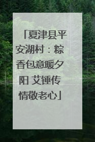 夏津县平安湖村：粽香包意暖夕阳 艾锤传情敬老心