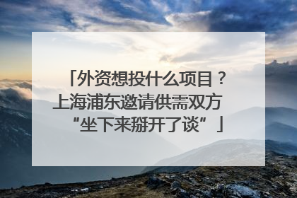 外资想投什么项目？上海浦东邀请供需双方“坐下来掰开了谈”