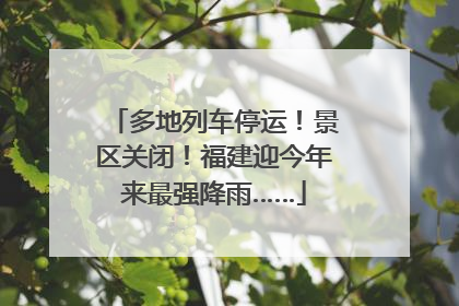 多地列车停运！景区关闭！福建迎今年来最强降雨……