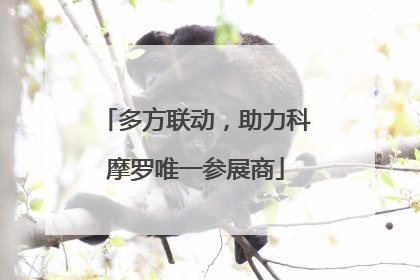 多方联动，助力科摩罗唯一参展商
