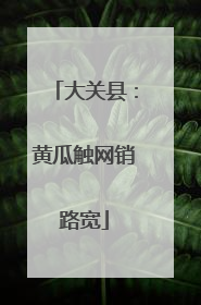 大关县：黄瓜触网销路宽