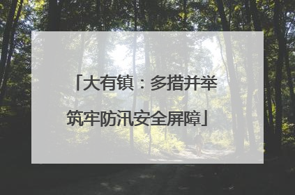 大有镇：多措并举筑牢防汛安全屏障