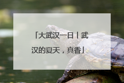 大武汉一日丨武汉的夏天，真香