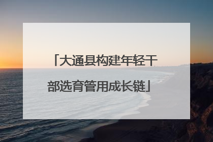 大通县构建年轻干部选育管用成长链