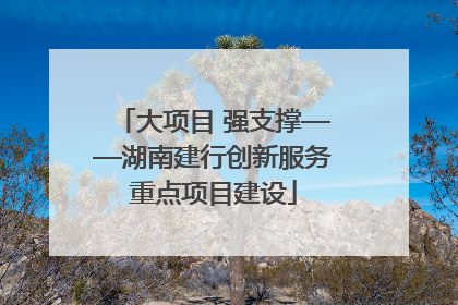 大项目 强支撑——湖南建行创新服务重点项目建设