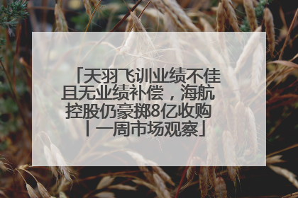天羽飞训业绩不佳且无业绩补偿，海航控股仍豪掷8亿收购丨一周市场观察