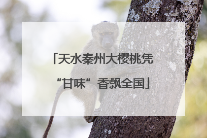 天水秦州大樱桃凭“甘味”香飘全国