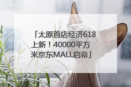 太原首店经济618上新！40000平方米京东MALL启幕