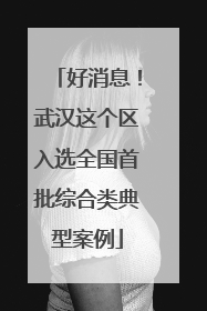 好消息！武汉这个区入选全国首批综合类典型案例