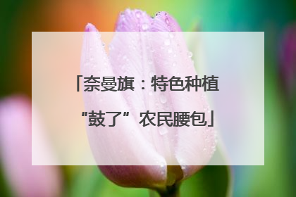 奈曼旗：特色种植“鼓了”农民腰包