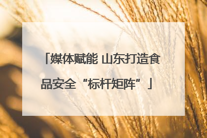 媒体赋能 山东打造食品安全“标杆矩阵”