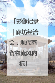 影像记录｜廊坊经洽会，现代商贸物流风向标