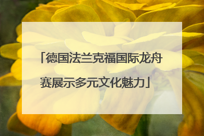 德国法兰克福国际龙舟赛展示多元文化魅力