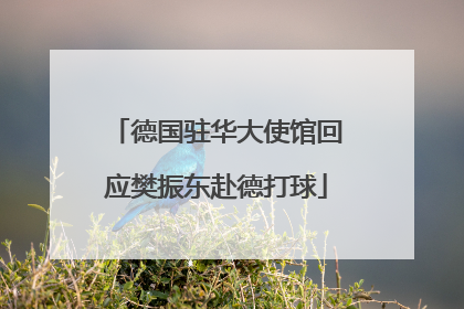 德国驻华大使馆回应樊振东赴德打球