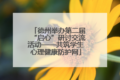 德州举办第二届“启心”研讨交流活动——共筑学生心理健康防护网