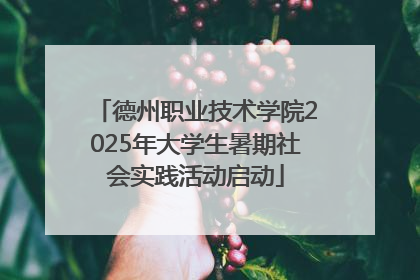 德州职业技术学院2025年大学生暑期社会实践活动启动