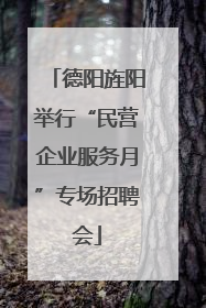 德阳旌阳举行“民营企业服务月”专场招聘会