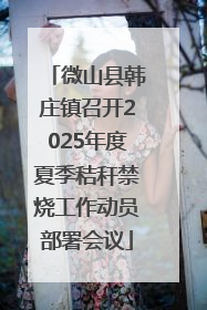 微山县韩庄镇召开2025年度夏季秸秆禁烧工作动员部署会议