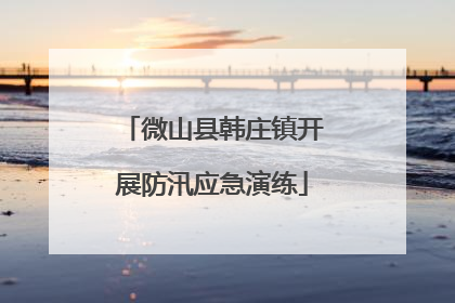 微山县韩庄镇开展防汛应急演练