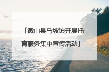 微山县马坡镇开展托育服务集中宣传活动