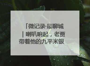 微记录·最聊城｜喇叭响起，老贾带着他的九平米银幕又来了